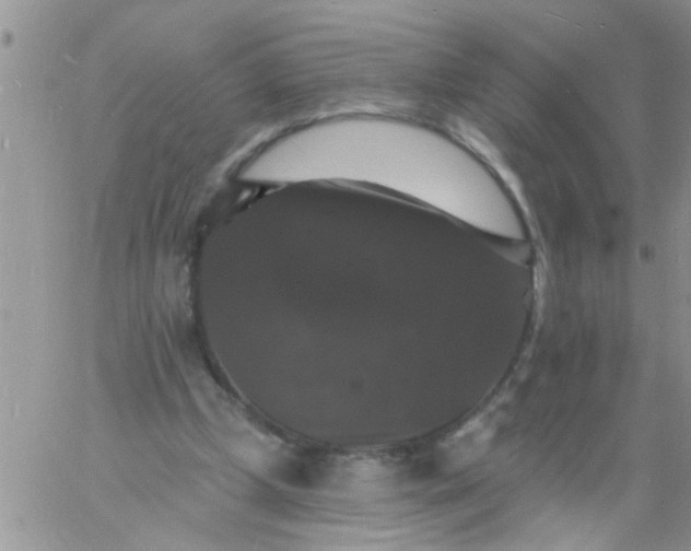 X0000060790249200511241852