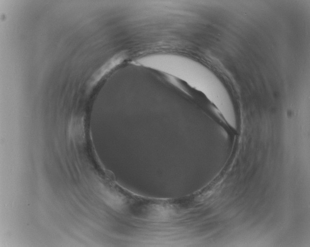 X0000060790250200511241852