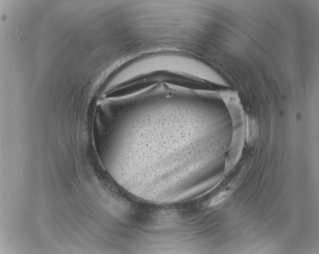 X0000060790252200511241852