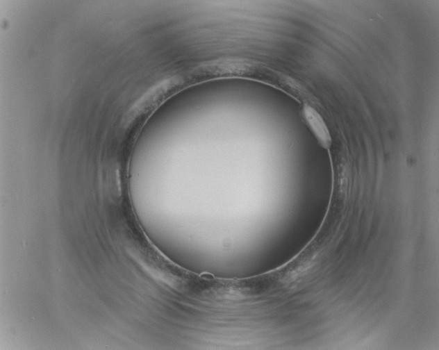 X0000060790254200511241852