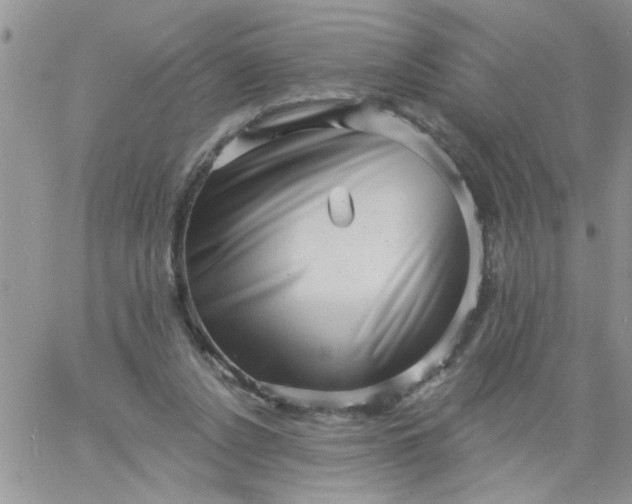 X0000060790256200511241852