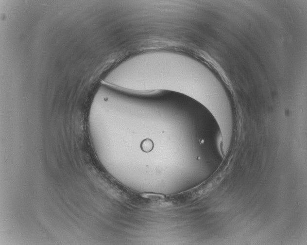 X0000060790257200511241852