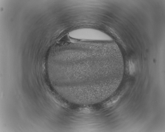 X0000060790259200511241852