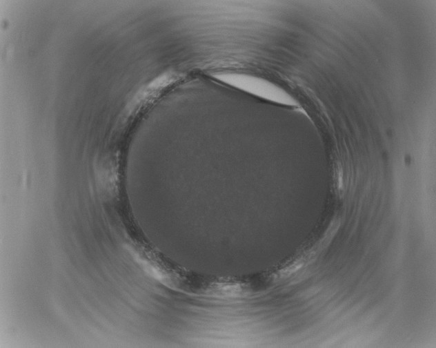 X0000060790260200511241852