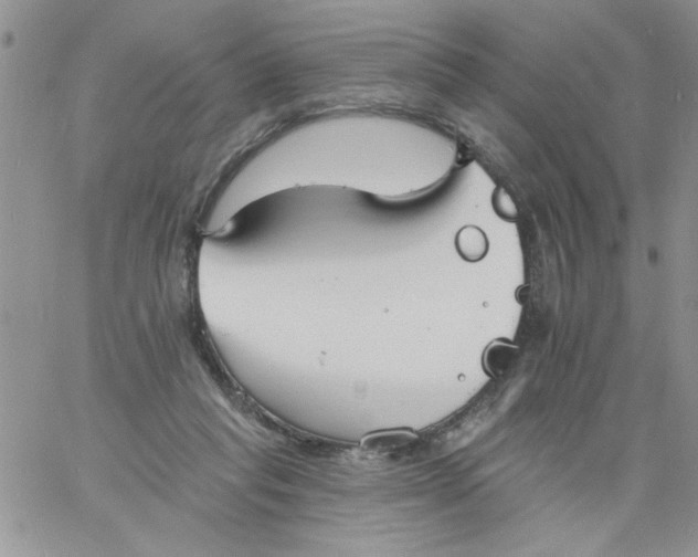 X0000060790261200511241852