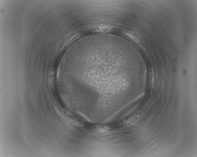 X0000060790263200511241852