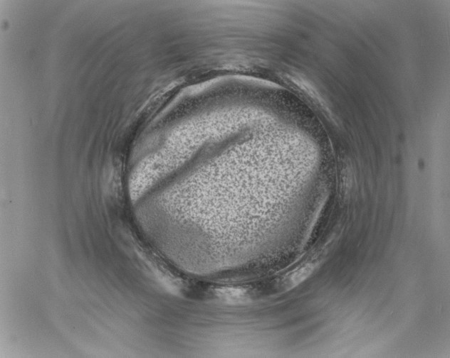 X0000060790265200511241852