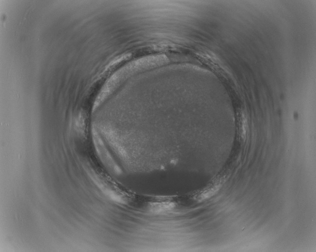 X0000060790266200511241852