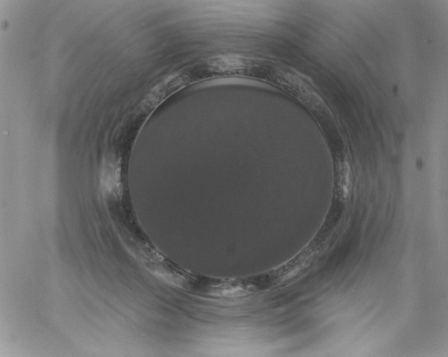 X0000060790267200511241852