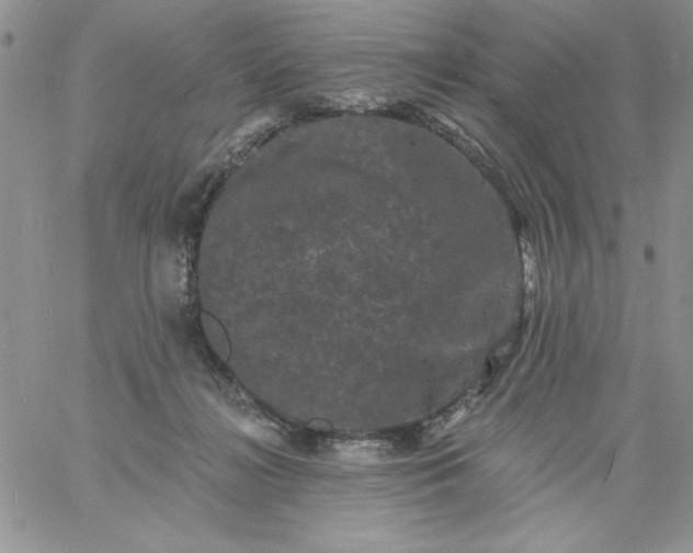 X0000060790268200511241852