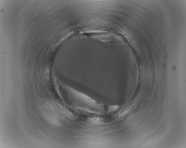 X0000060790269200511241852