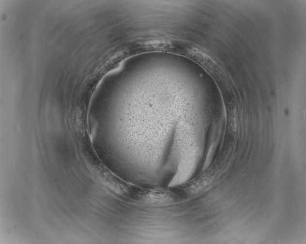 X0000060790270200511241852