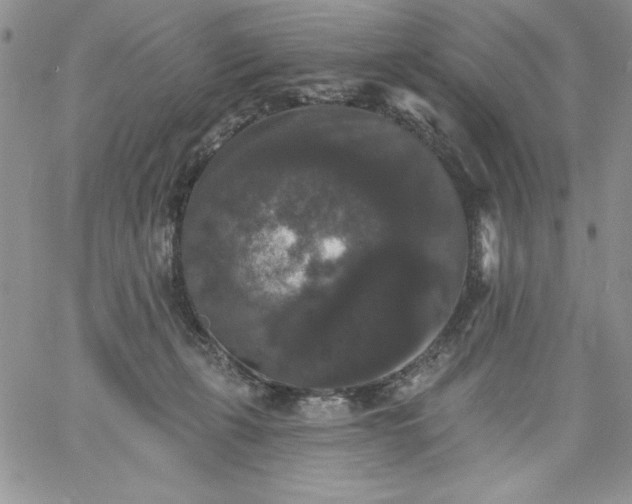 X0000060790271200511241852