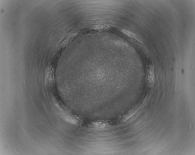 X0000060790272200511241852