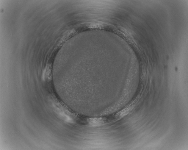 X0000060790273200511241852