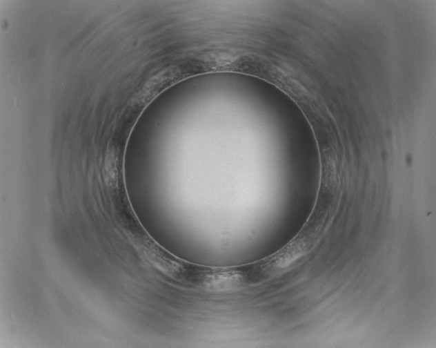 X0000060790274200511241852