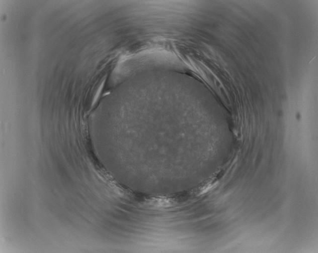 X0000060790276200511241852