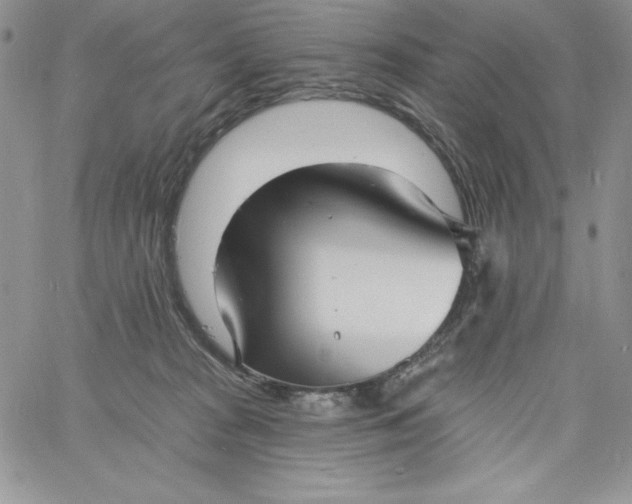 X0000060790277200511241852