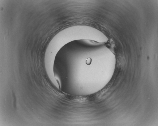 X0000060790278200511241852