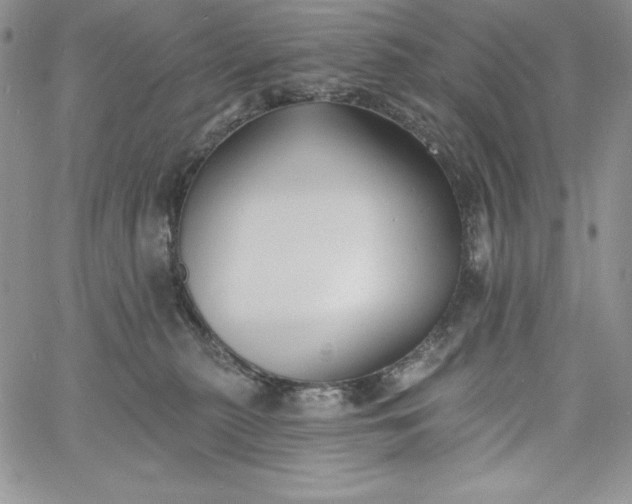 X0000060790279200511241852