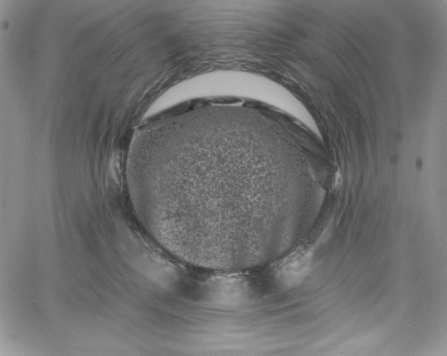 X0000060790280200511241852