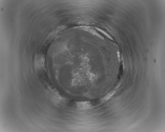 X0000060790281200511241852