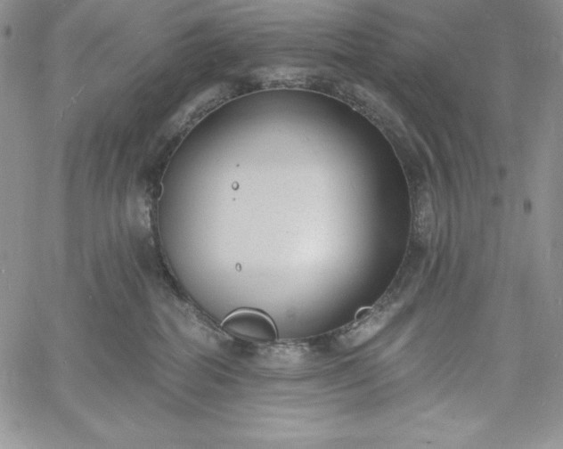 X0000060790282200511241852