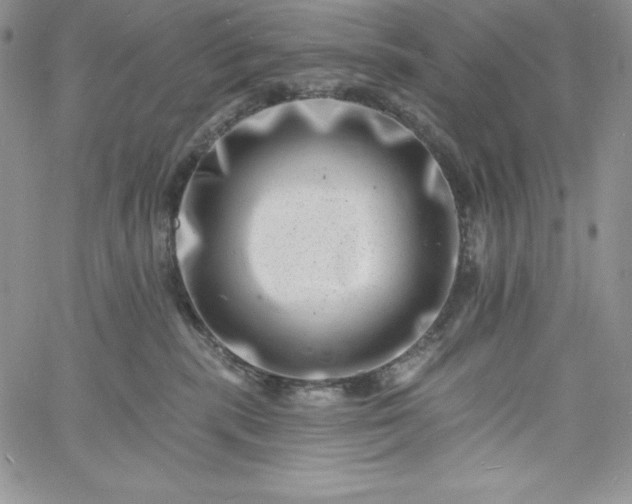 X0000060790283200511241852