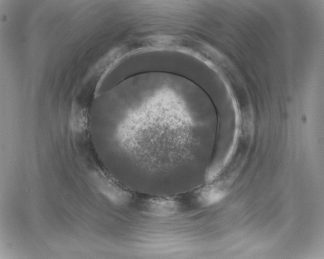 X0000060790284200511241852