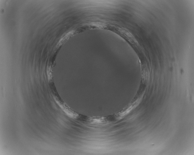 X0000060790285200511241852