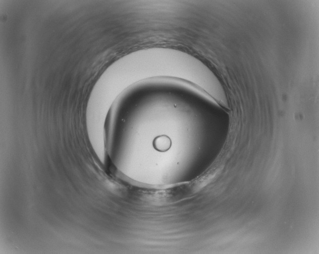 X0000060790288200511241853