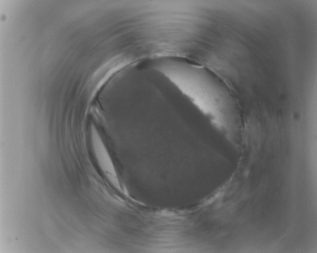 X0000060790290200511241852