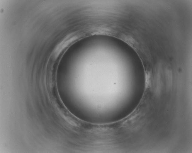 X0000060790291200511241852