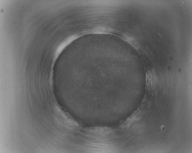 X0000060790292200511241852