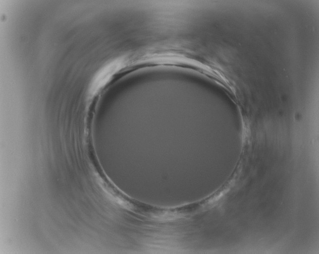 X0000060790293200511241852