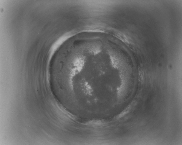 X0000060790294200511241852