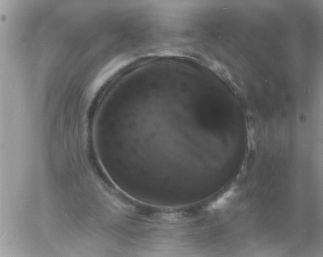 X0000060790295200511241852