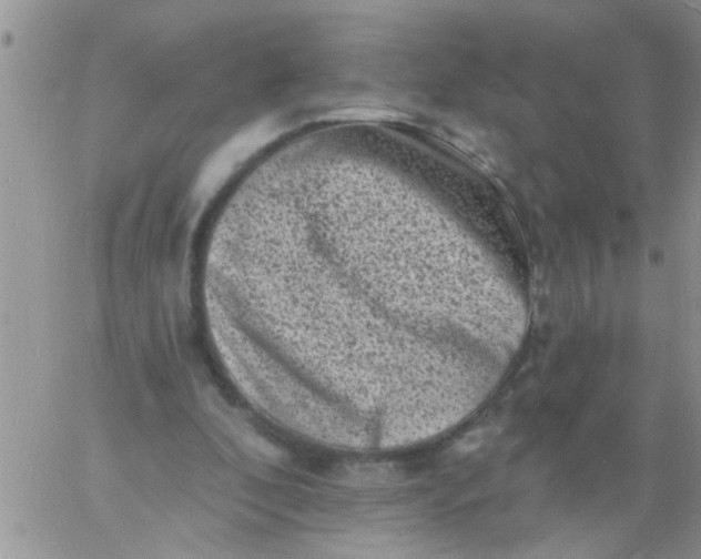 X0000060790296200511241852