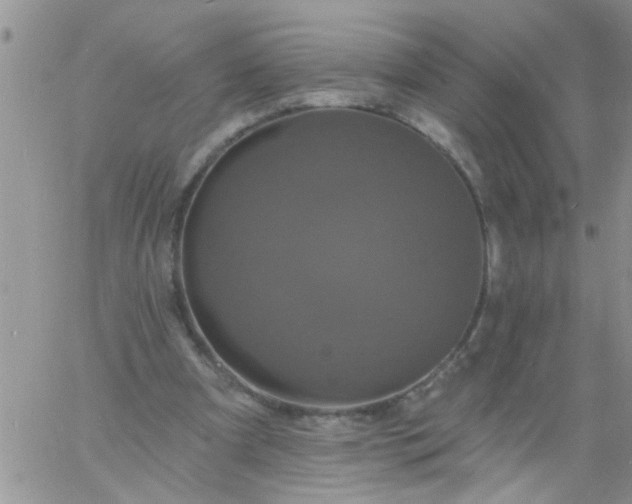 X0000060790297200511241852