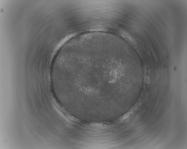 X0000060790298200511241852