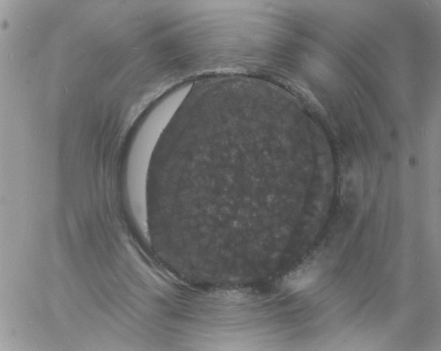 X0000060790299200511241852