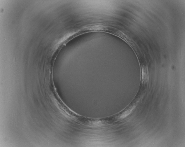 X0000060790301200511241852