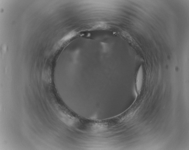 X0000060790303200511241852