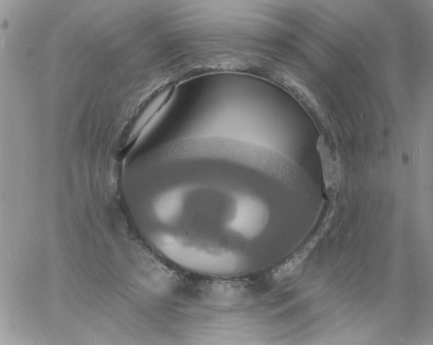 X0000060790305200511241851