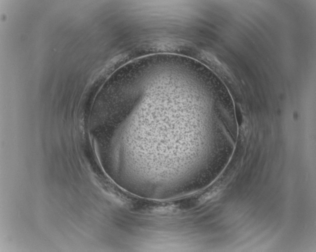 X0000060790306200511241851