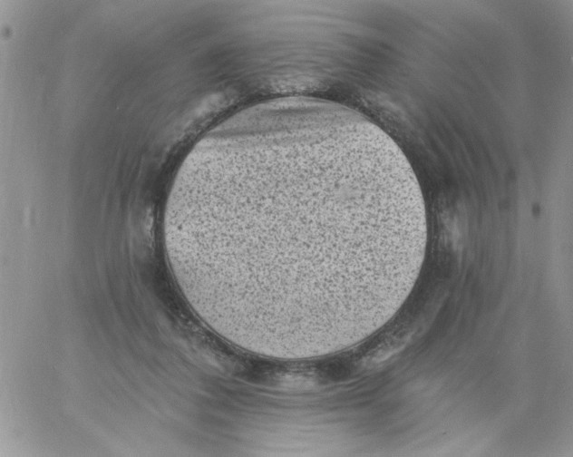 X0000060790308200511241851