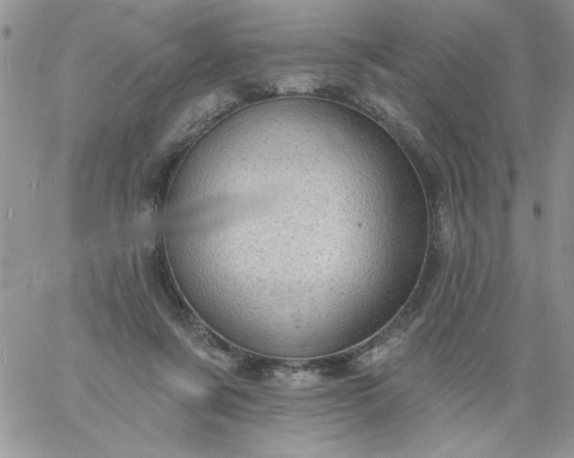 X0000060790311200511241851