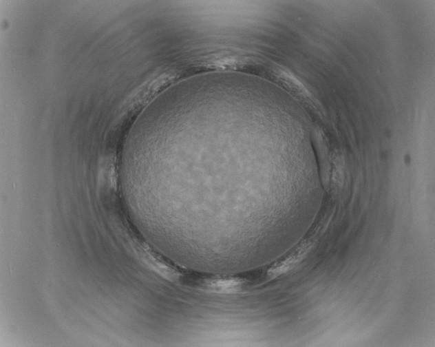 X0000060790313200511241851