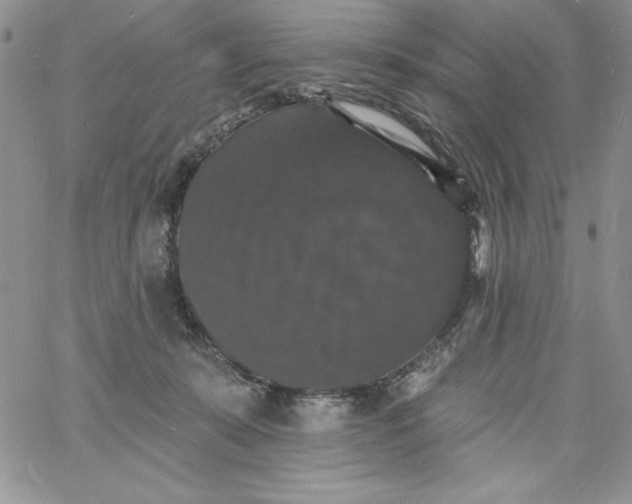 X0000060790319200511241851