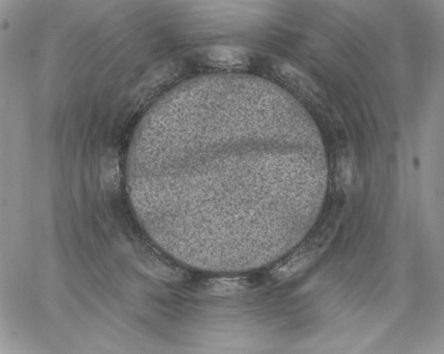 X0000060790320200511241851